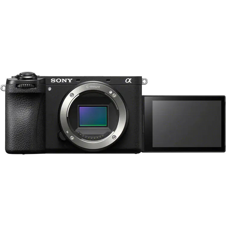 Sony Alpha A6600