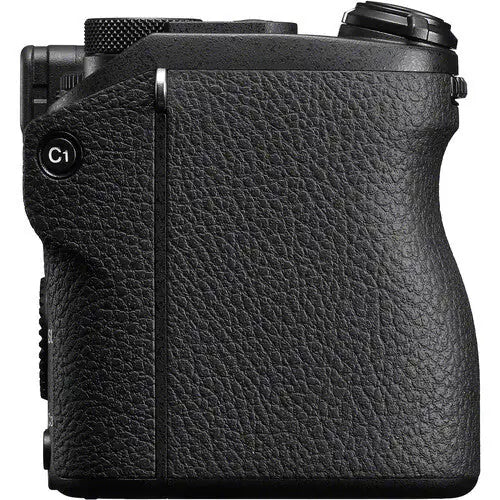 Sony Alpha A6600