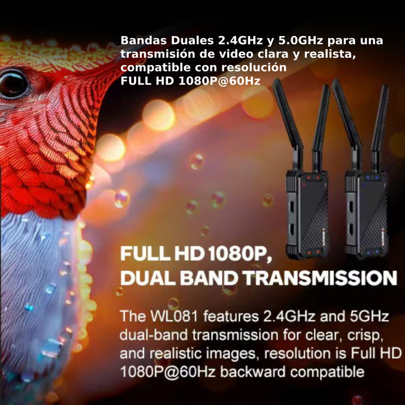 Sistema de transmisor y receptor de video HDMI inalámbrico VRRISS WL081 para equipos de sala de reuniones